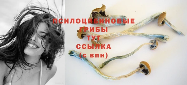 стафф Костерёво