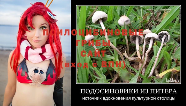 не бодяженный Корсаков