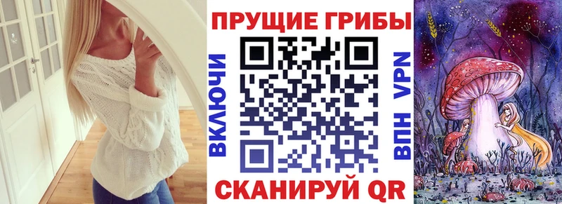 Псилоцибиновые грибы Psilocybe  Купить где  Печоры 